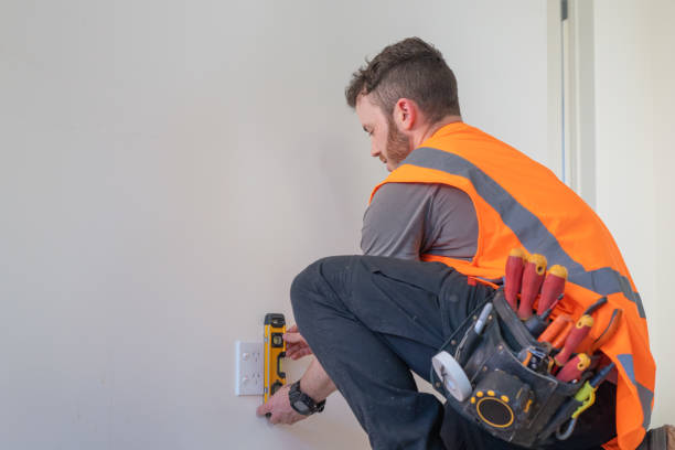 Best Electric Panel Repair  in Sturgeon Bay, WI