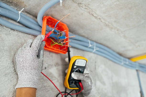 Best Local Electrician Companies  in Sturgeon Bay, WI